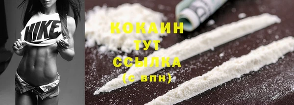 дмт Пересвет