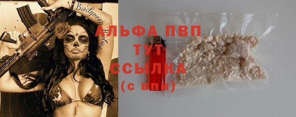 дмт Пересвет