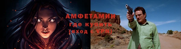 дмт Пересвет