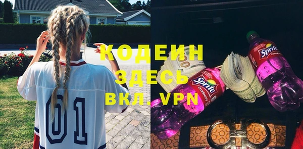дмт Пересвет