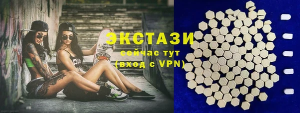 дмт Пересвет