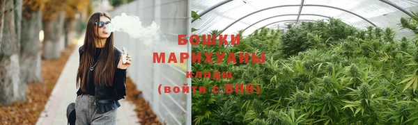 дмт Пересвет